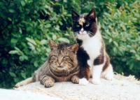 Jan,  mein Vater und Mele, seine neue Gefhrtin 2003