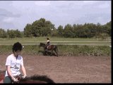 Reitbahn Reitbahn