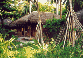 Coconut Village Bungalow 55